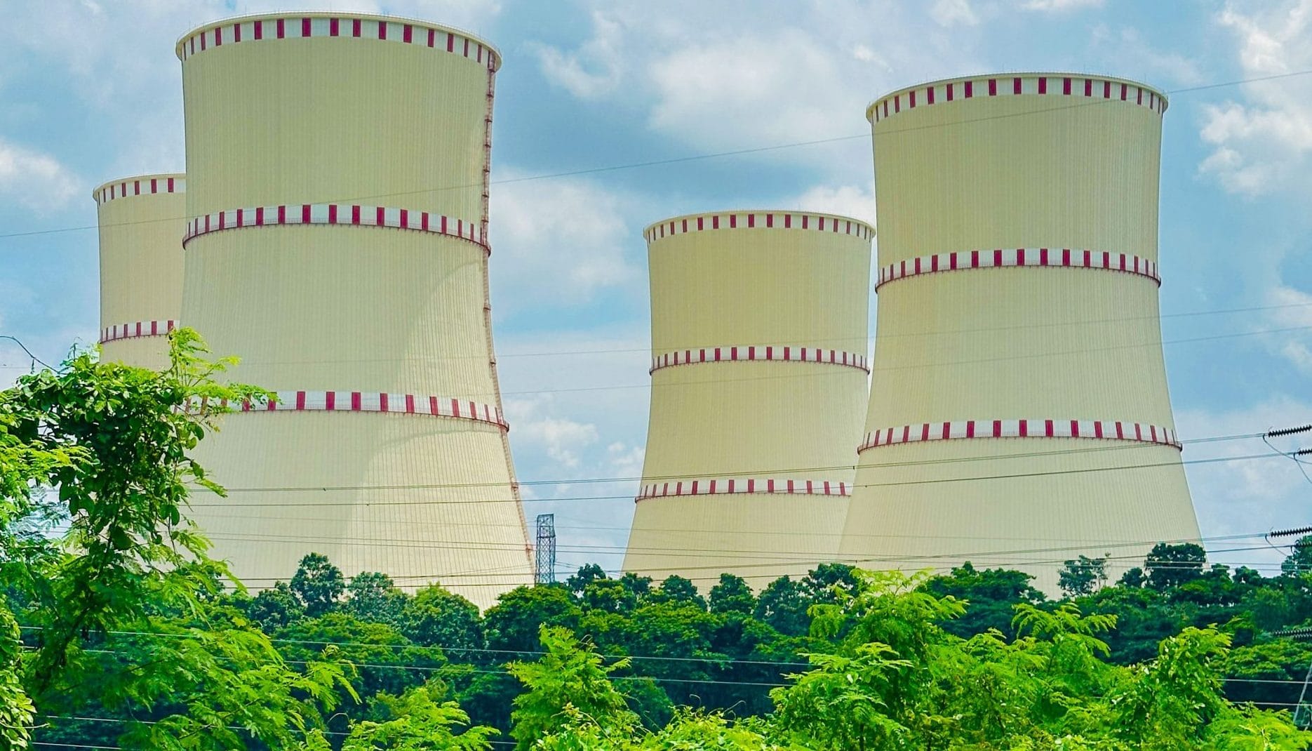 Tooloo Services